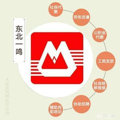 学生校园保险购买原则与国内劳务派遣服务的协同优化